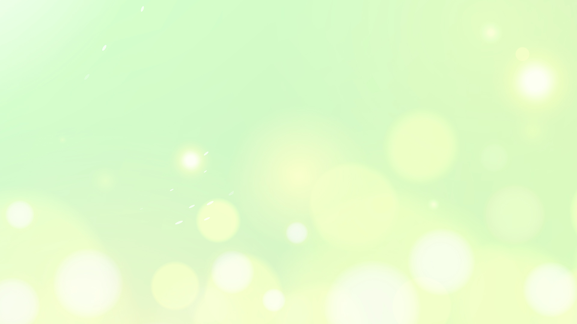 ギャラリー